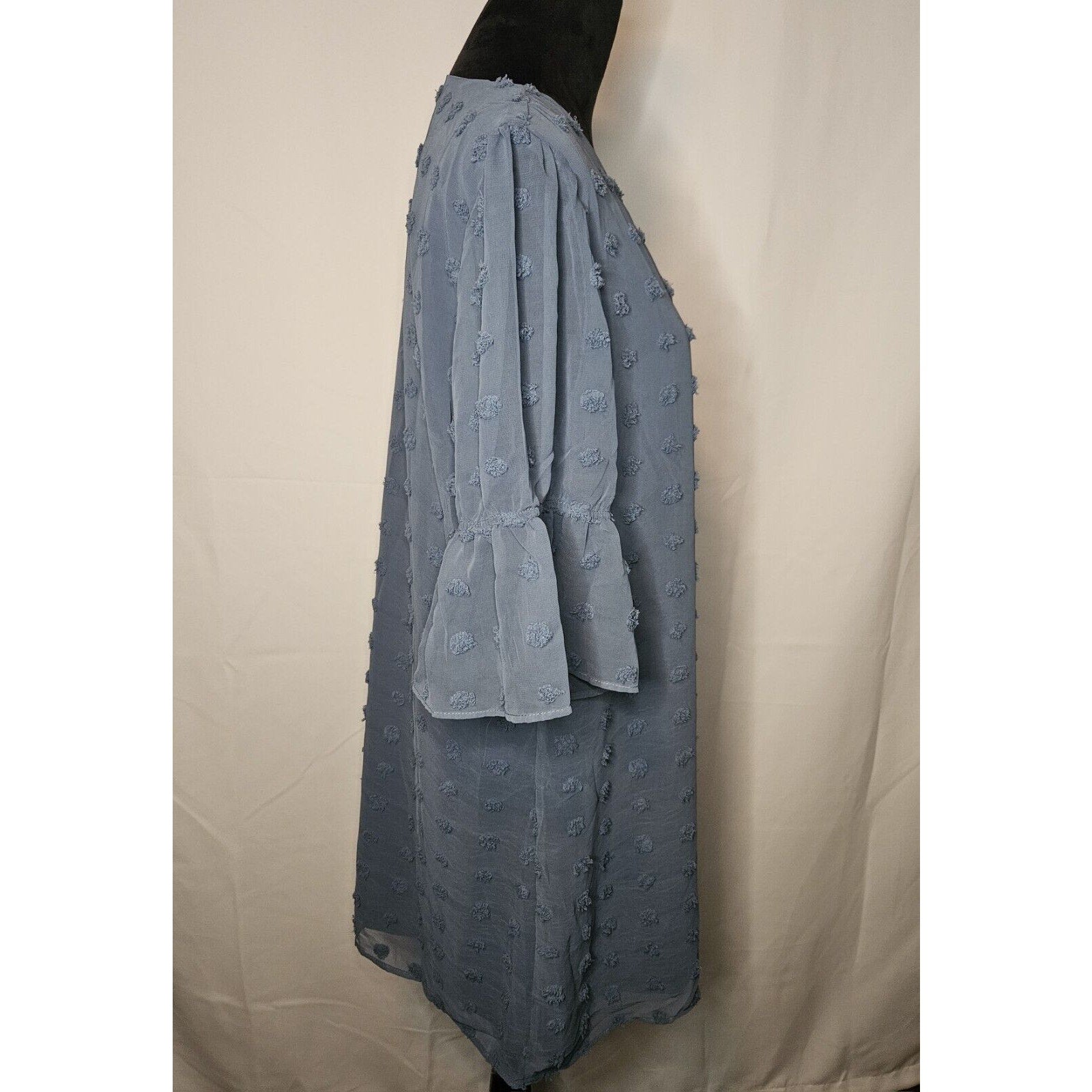 Blooming Jelly Womens Size XL Swiss Dot Flounce Sleeve Chiffon Tunic Dress Blue