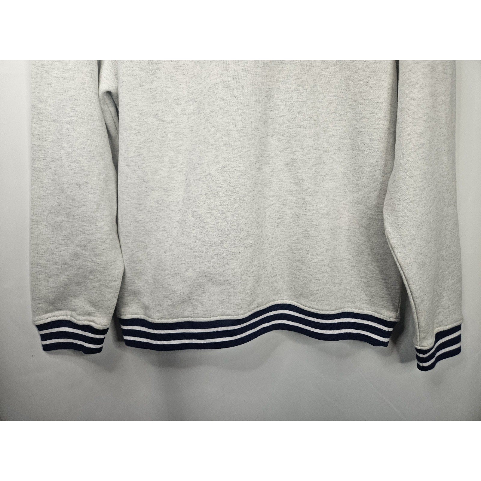 Santa Cruz Simba Tiger Sweatshirt Gray Medium Skater Y2K