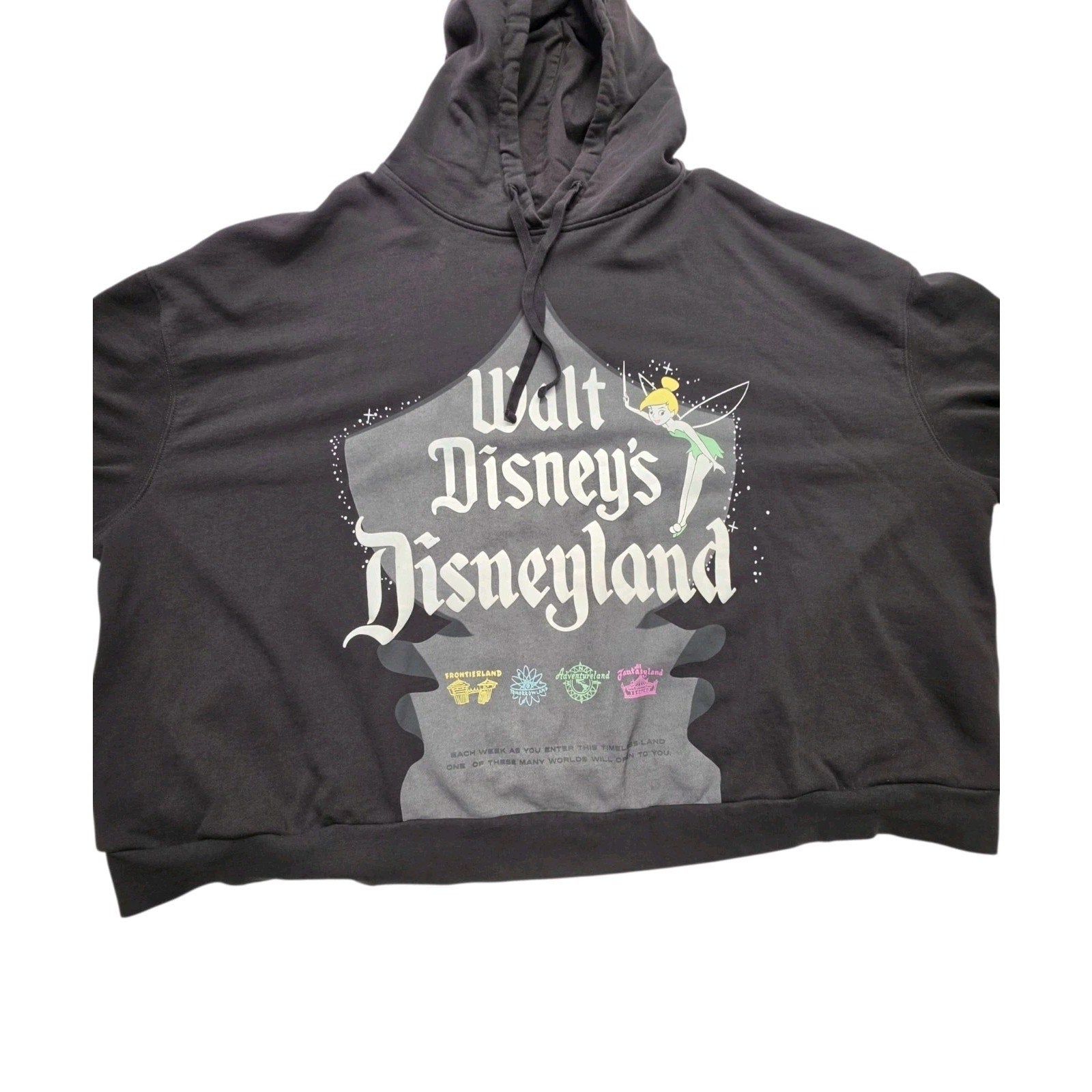 Disney Parks 100 Walt Disney’s Disneyland Tinker Bell Cropped Hoodie Women’s 3X