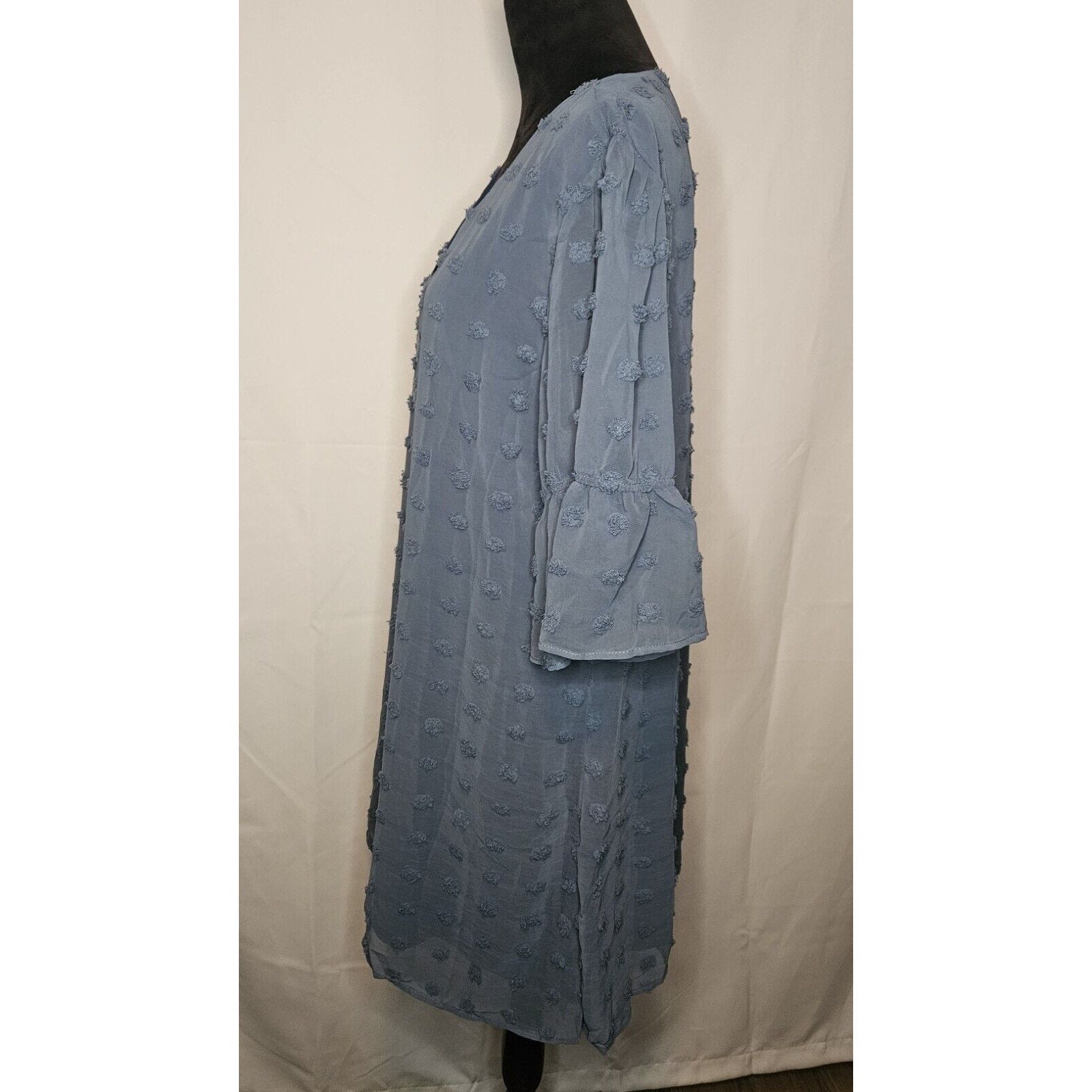 Blooming Jelly Womens Size XL Swiss Dot Flounce Sleeve Chiffon Tunic Dress Blue