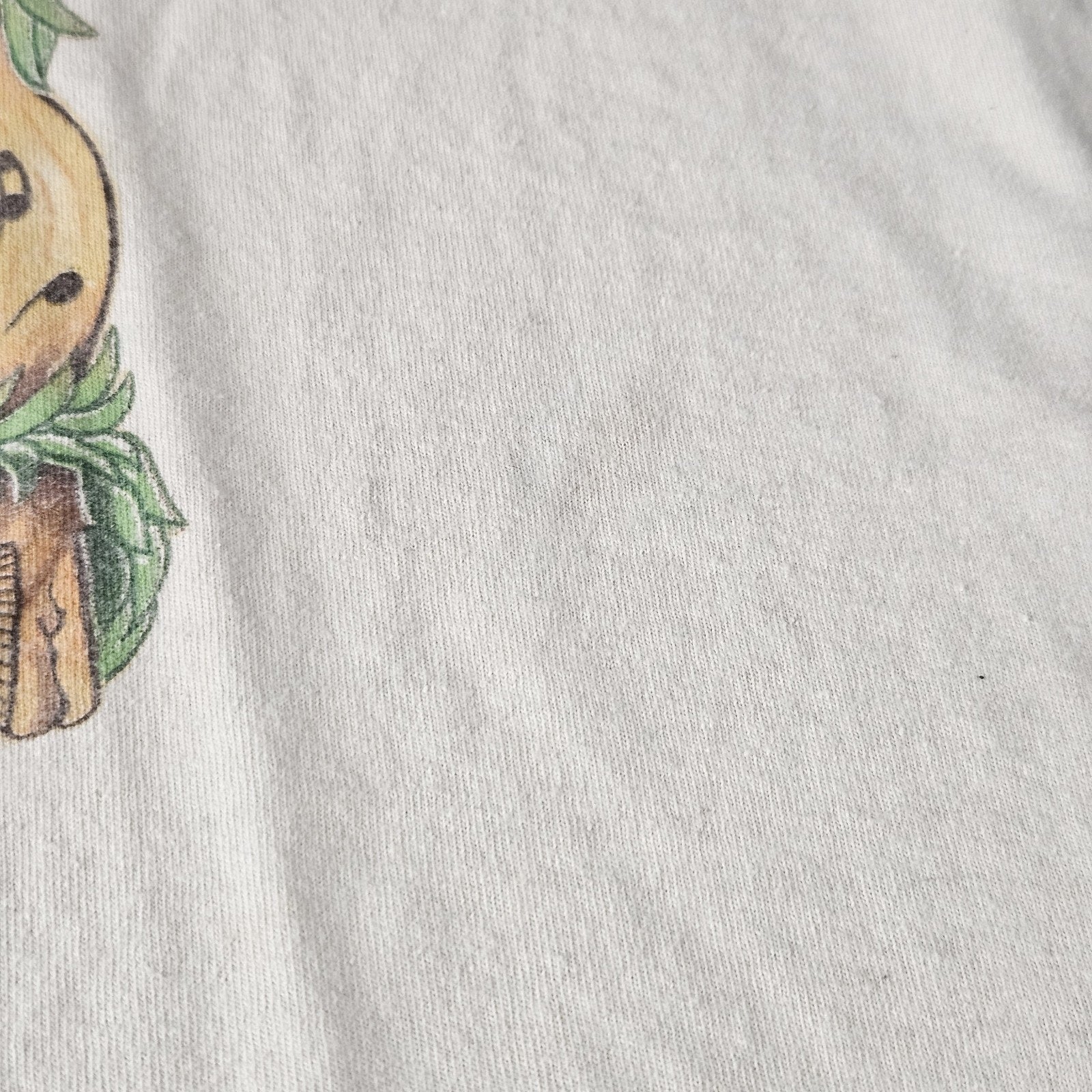 Bonnaroo Decade of Delight Music Festival T Shirt Mens Sz XL *Stained