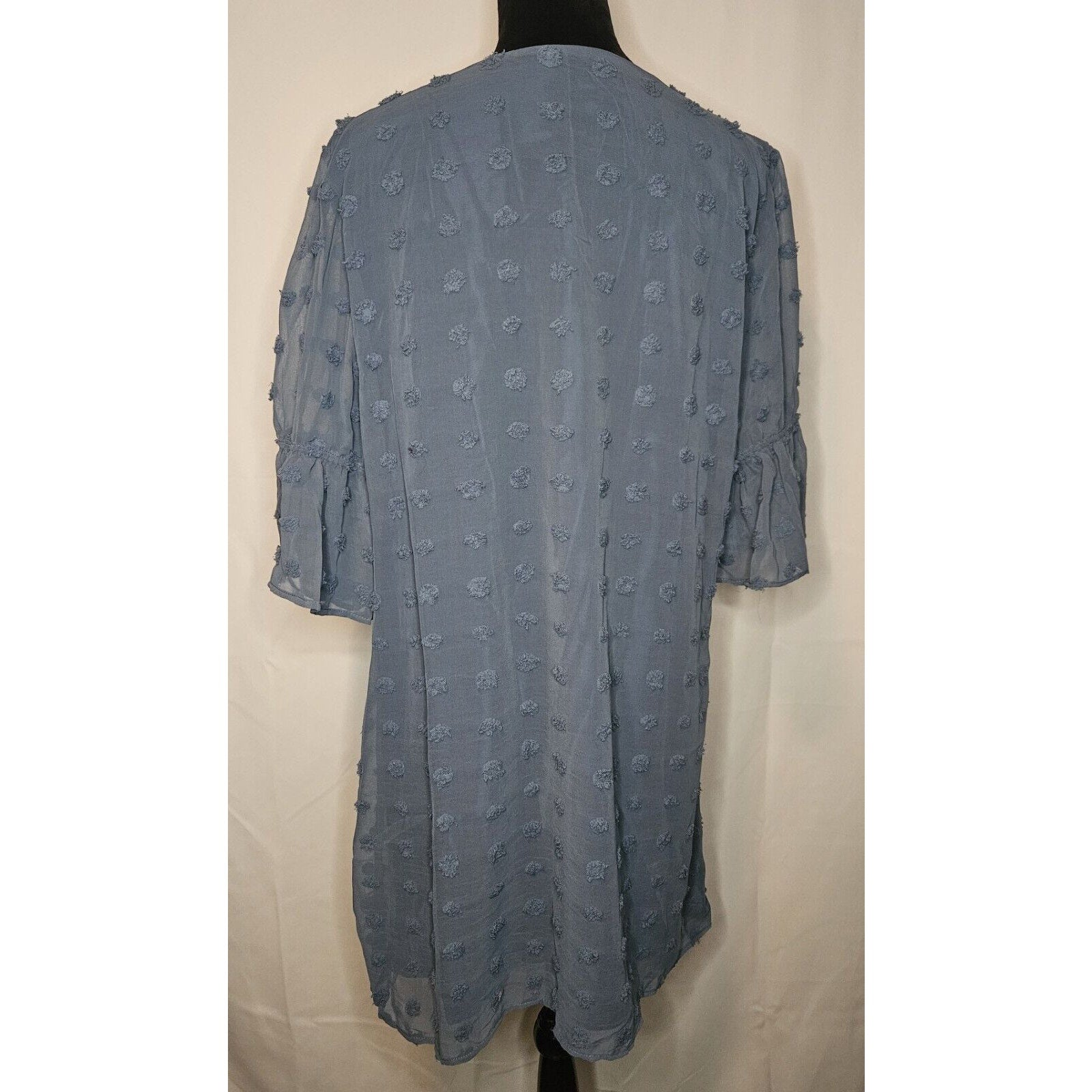 Blooming Jelly Womens Size XL Swiss Dot Flounce Sleeve Chiffon Tunic Dress Blue