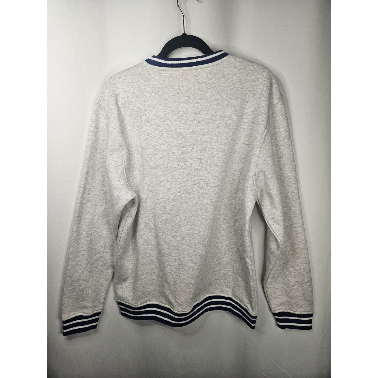 Santa Cruz Simba Tiger Sweatshirt Gray Medium Skater Y2K