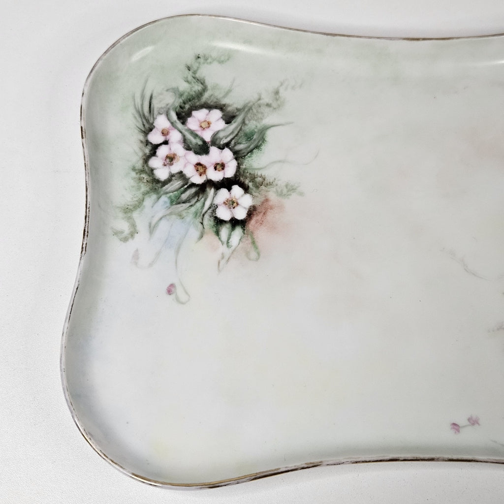 Antique Porcelain Vanity Set Dresser Tray Hand Painted MZ Austria & Bavaria